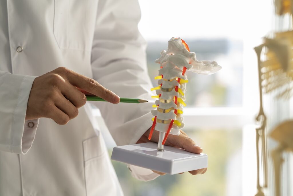 Treatments for disc degeneration and when to consider spinal arthrodesis